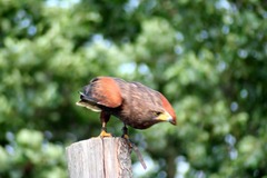 Killikus&reg; Fotographie